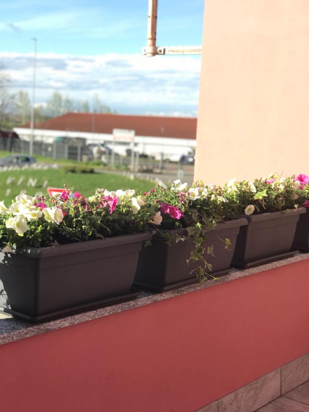 Bed & Breakfast Oltrepo Casteggio Экстерьер фото